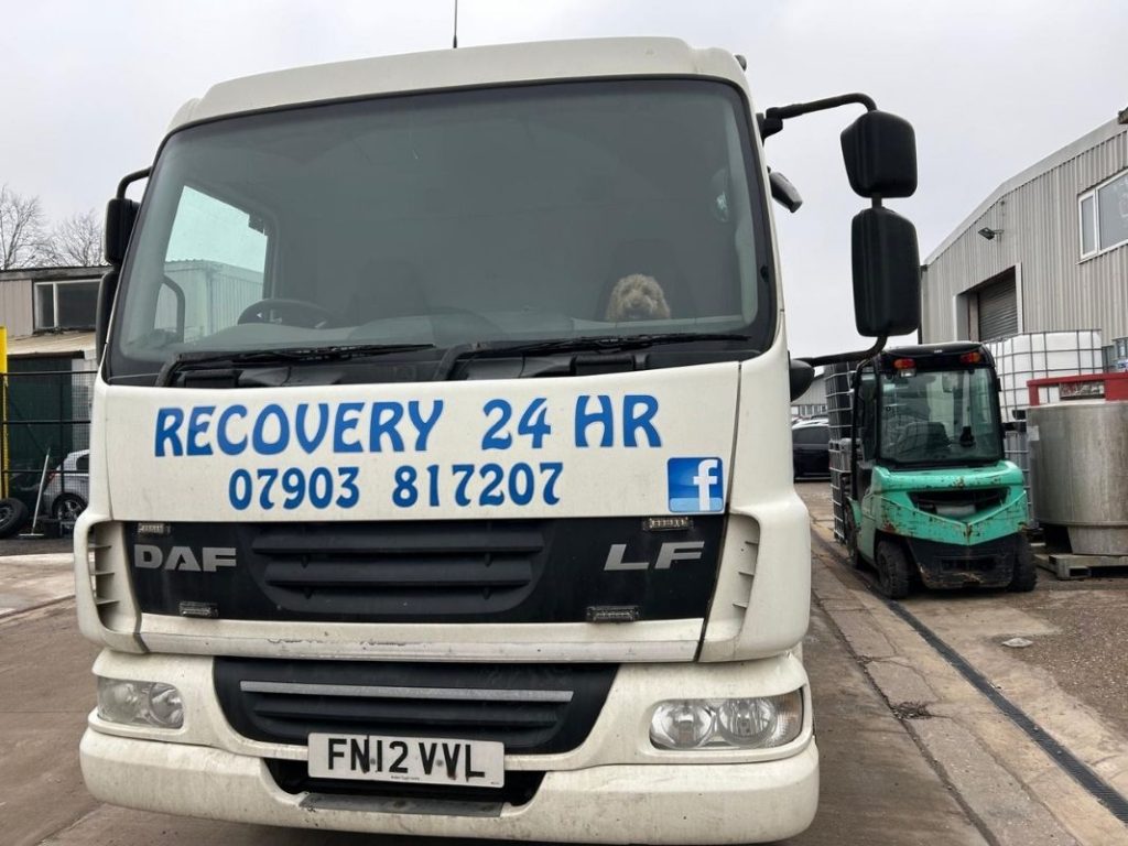 Contact NJ Recovery 24 hour dog helping out!